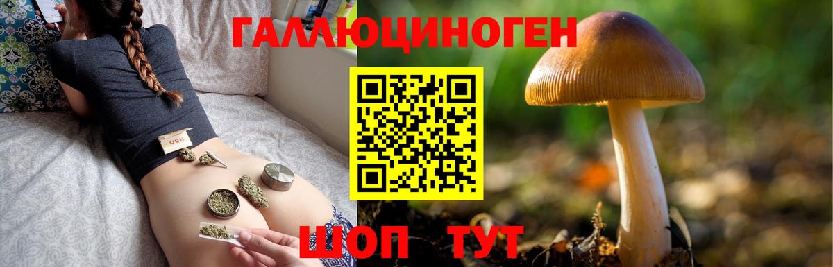 Старая Купавна  Галлюциногенные грибы Magic Shrooms  Вход с VPN  Псилоцибиновые грибы MAGIC MUSHROOMS 